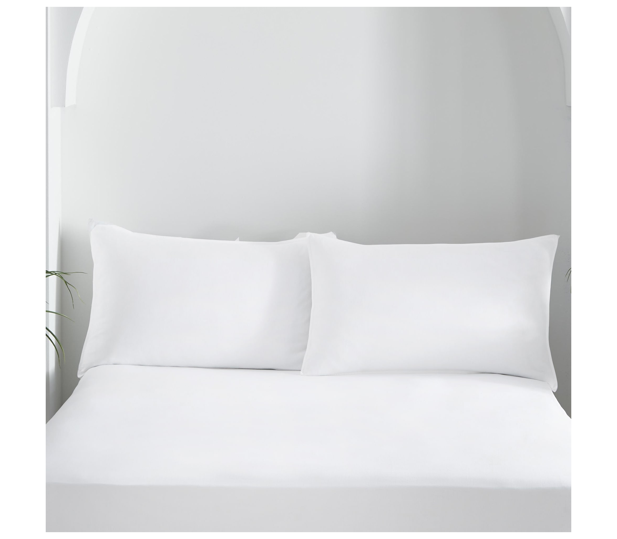 Appletree Cassia White Housewife Pillowcases J Rosenthal & Son