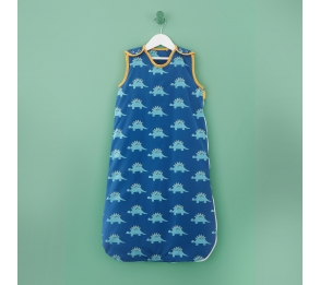 D Is For Dino - Sleeping Bag