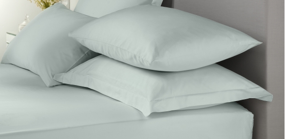 Signature Duck Egg Plain Dye Sheets