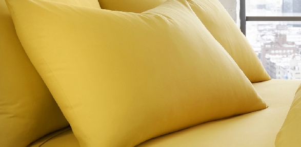 Ochre - Housewife Pillowcase (Twin Pack)