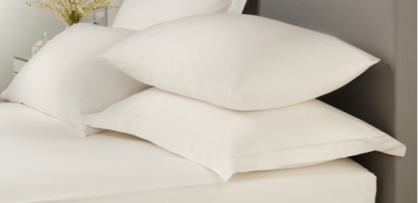 Signature Cream White Plain Dye Sheets