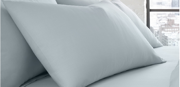 Duck Egg - Housewife Pillowcase (Twin Pack)