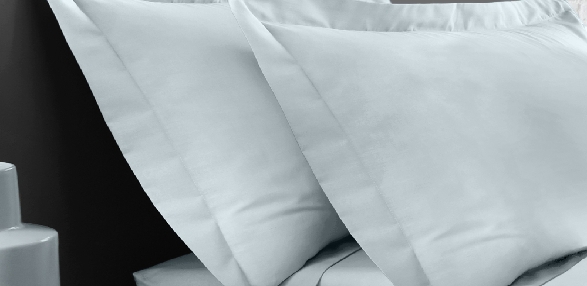 Duck Egg - Oxford Pillowcase (Twin Pack)