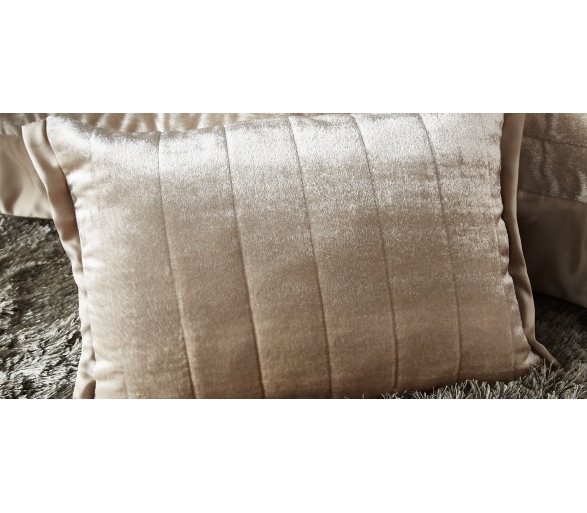 Laurel Champagne Cushion Cover